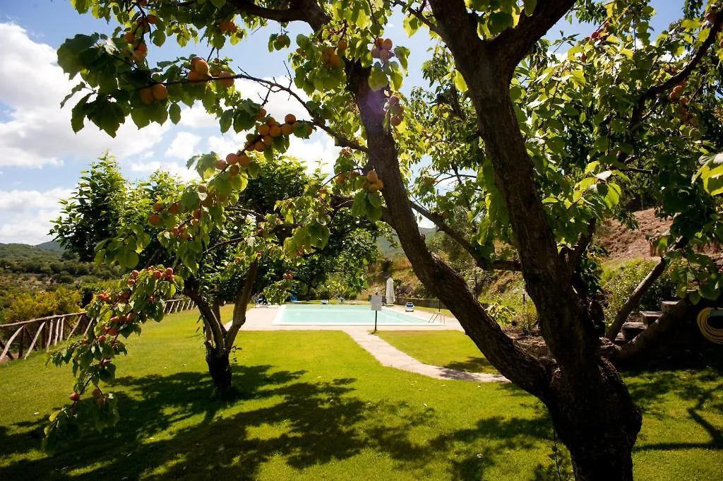 La Cianella - Adult Only Villa Scarlino