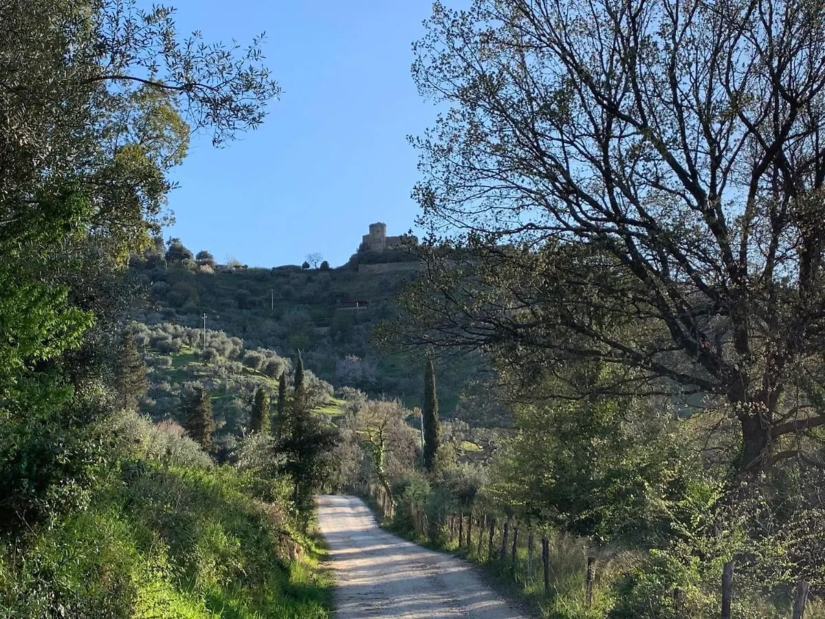 La Cianella - Adult Only Villa Scarlino Farm stay