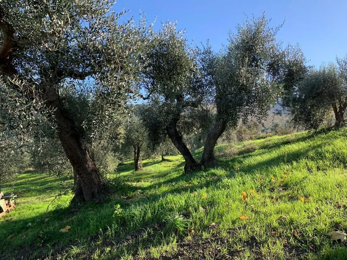 Farm stay La Cianella - Adult Only Villa Scarlino